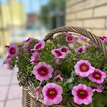 דירה Casa Myrina סקפאטי