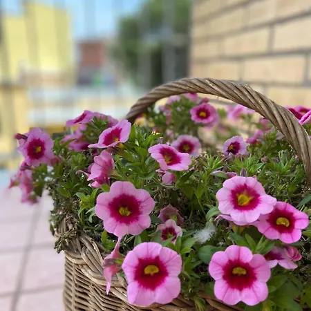 Apartamento Casa Myrina Scafati